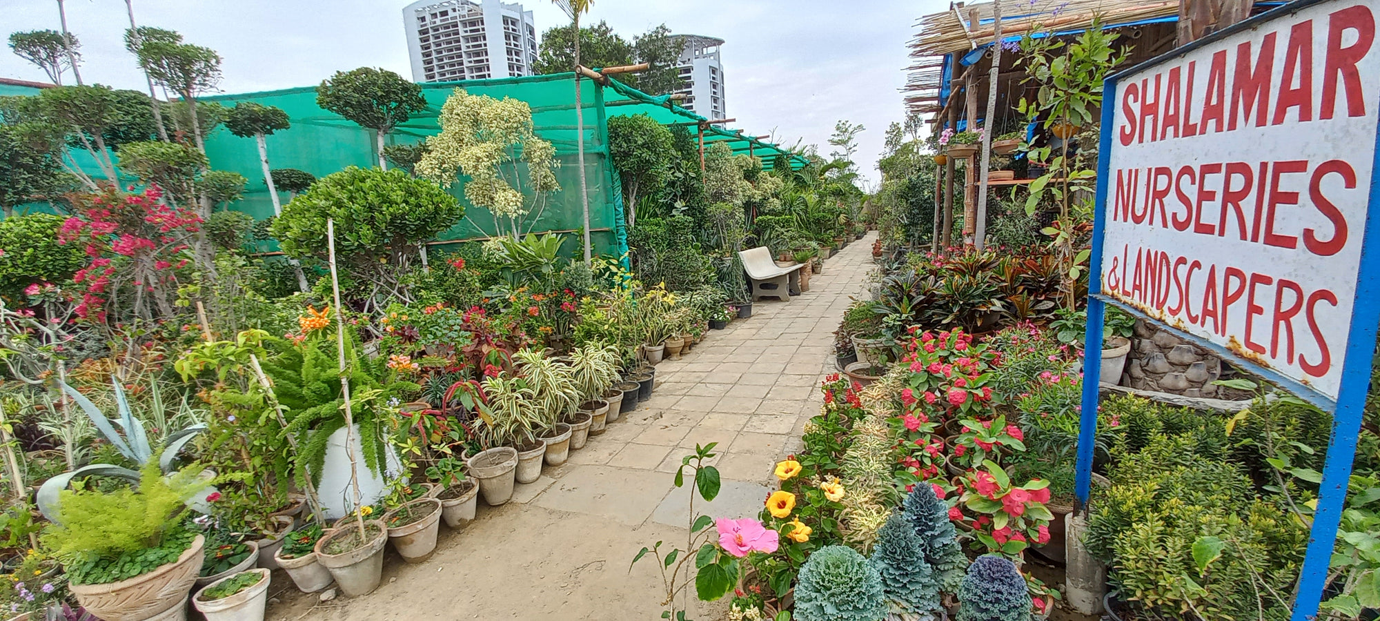 Shalamar Nurseries & Landscapers