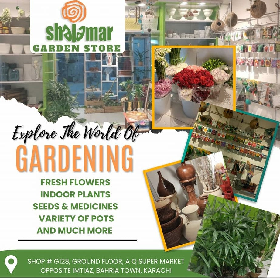 Shalamar Nurseries & Landscapers