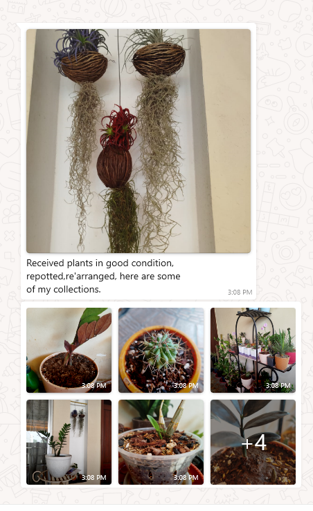 Shalamar Nurseries & Landscapers