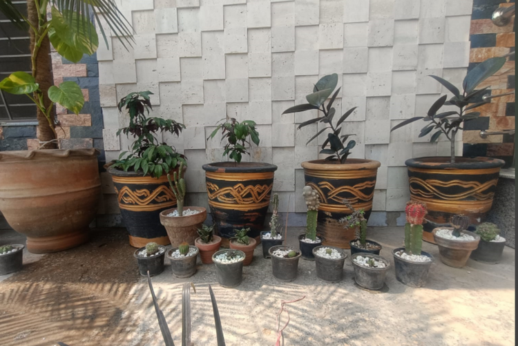 Shalamar Nurseries & Landscapers