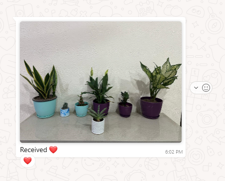 Shalamar Nurseries & Landscapers