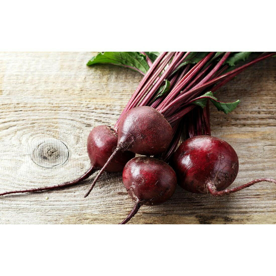 Beet Root - Shalamar Nurseries & LandscapersShalamar Nurseries & Landscapers