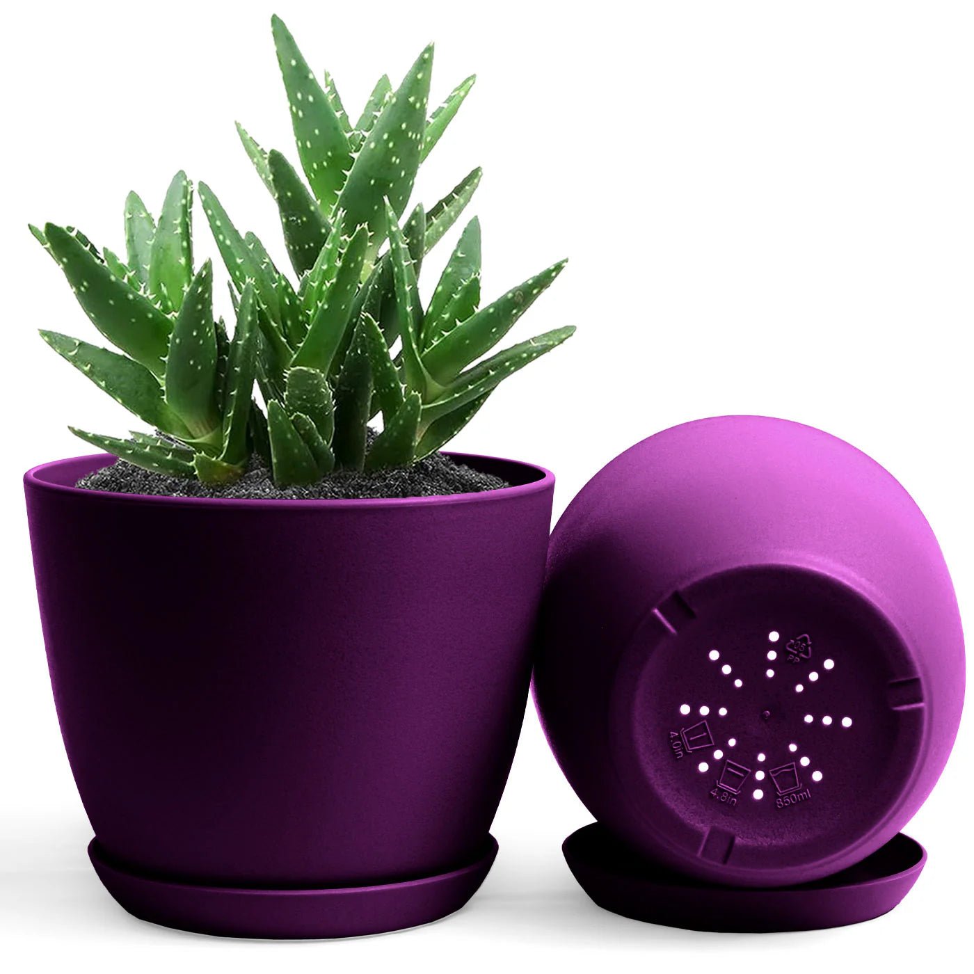 Plastic pot high quality - Shalamar Nurseries & LandscapersShalamar Nurseries & Landscapers