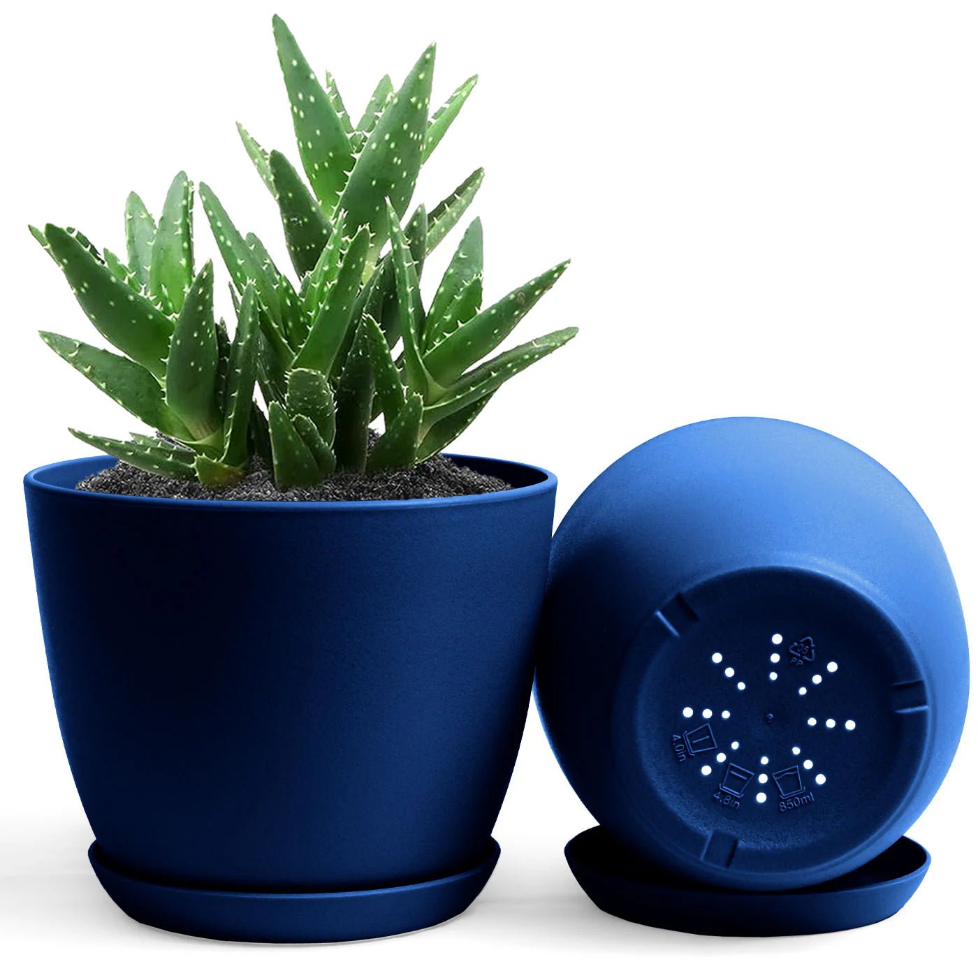 Plastic pot high quality - Shalamar Nurseries & LandscapersShalamar Nurseries & Landscapers