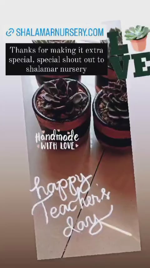 Shalamar Nurseries & Landscapers
