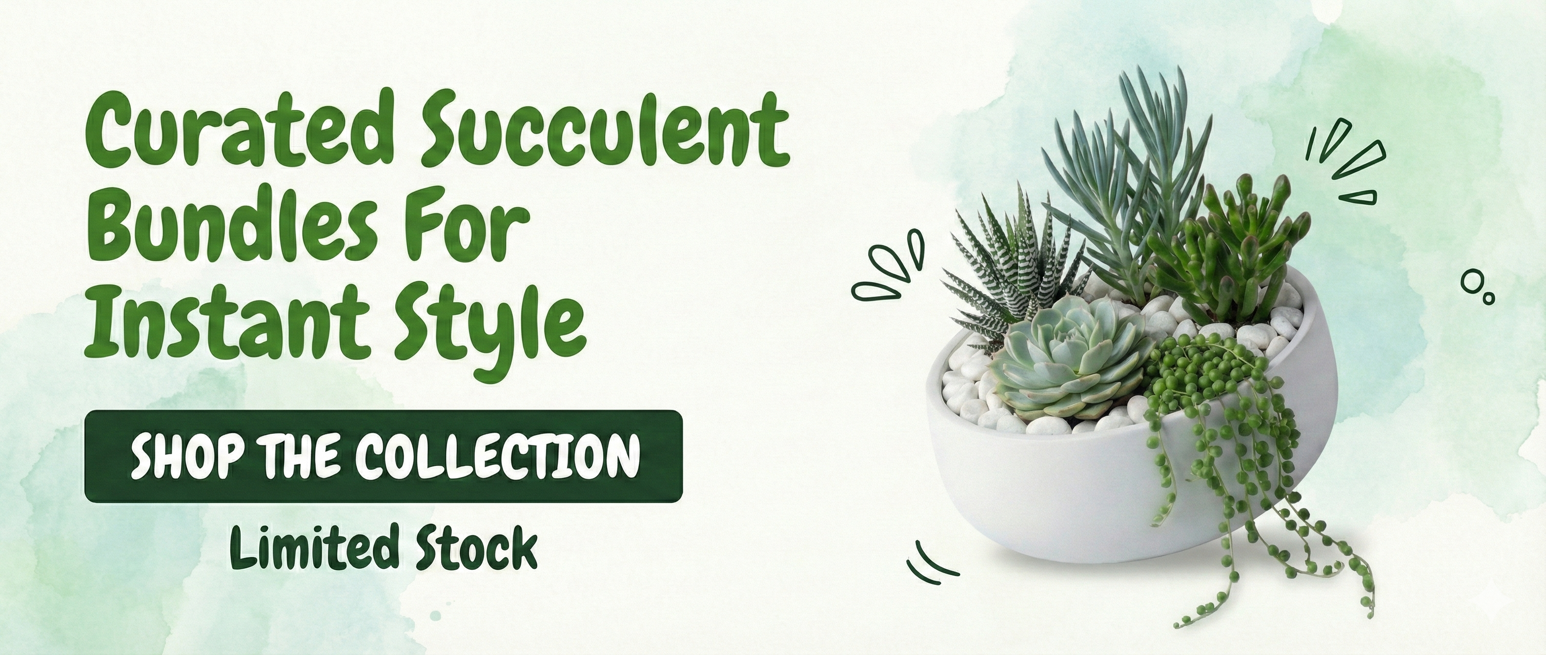 Succulents & Cactus - Shalamar Nurseries & Landscapers