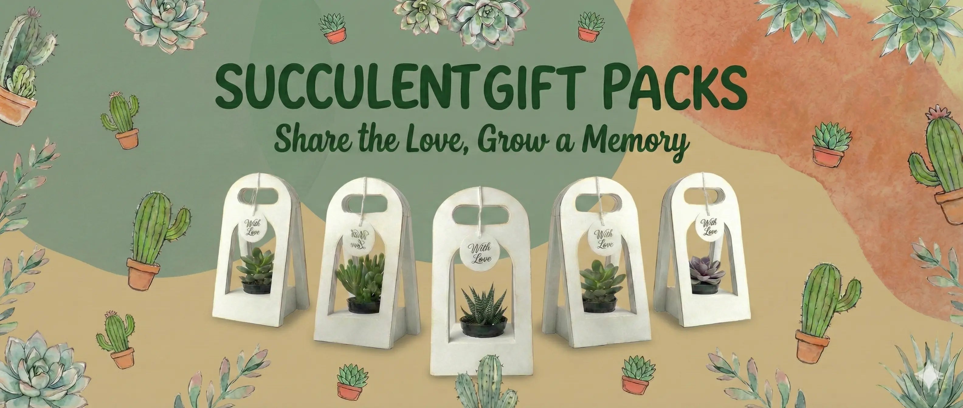 Succulents & Cactus - Shalamar Nurseries & Landscapers