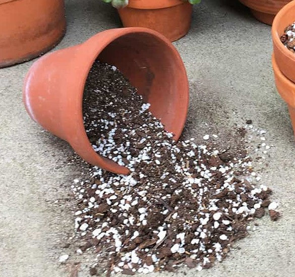 Potting soil