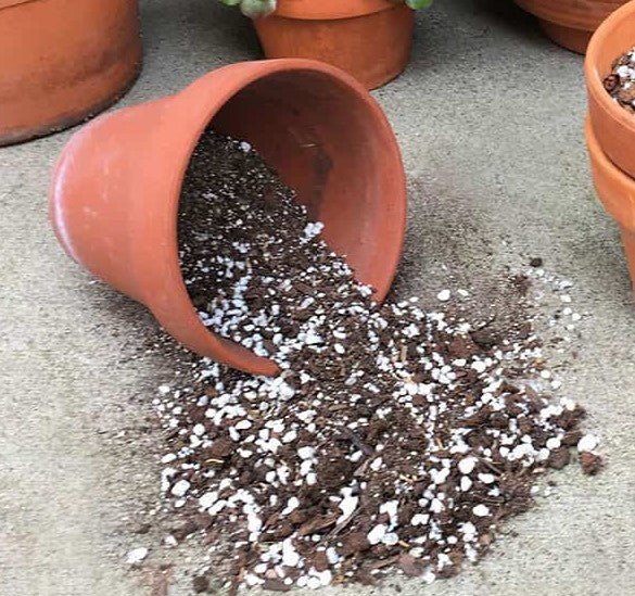 Potting soil - Shalamar Nurseries & Landscapers