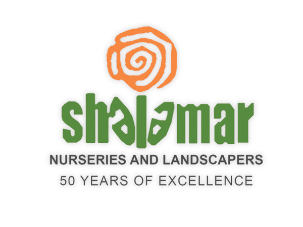 Shalamar Nurseries & Landscapers