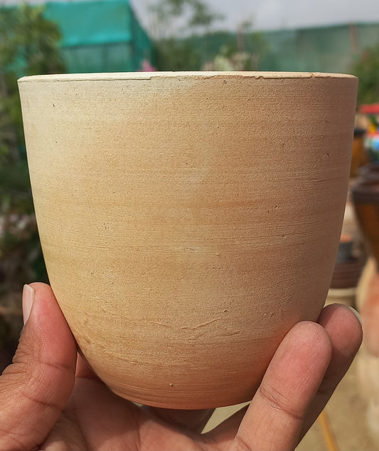 Terracotta pot 4
in. 2 Pieces