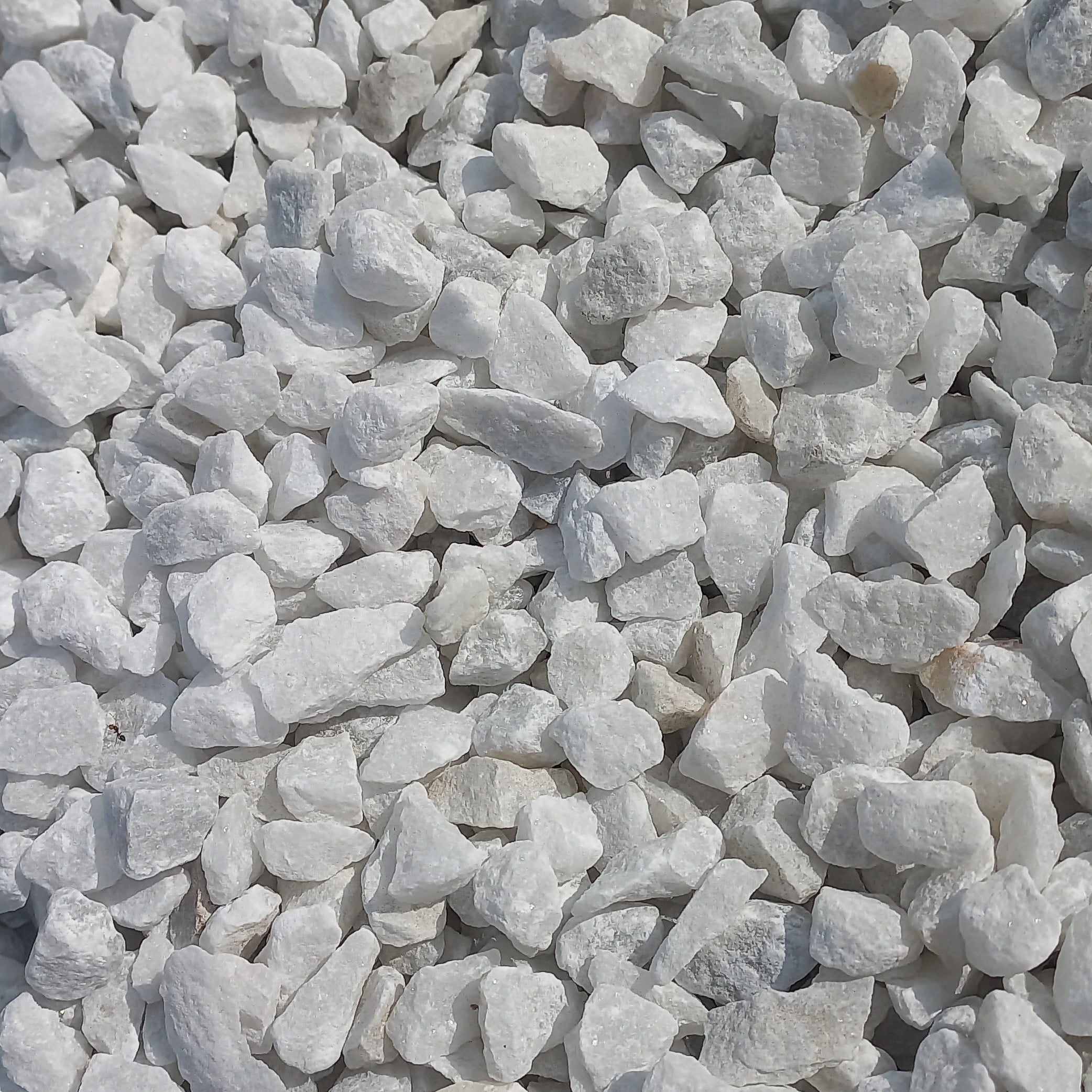 Decorative pebbles for top dressing