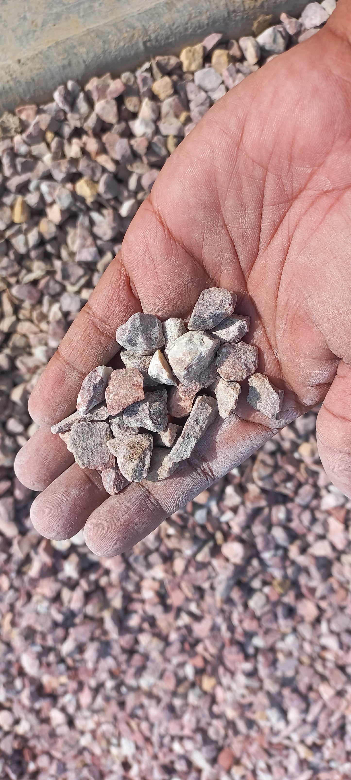 Decorative pebbles for top dressing