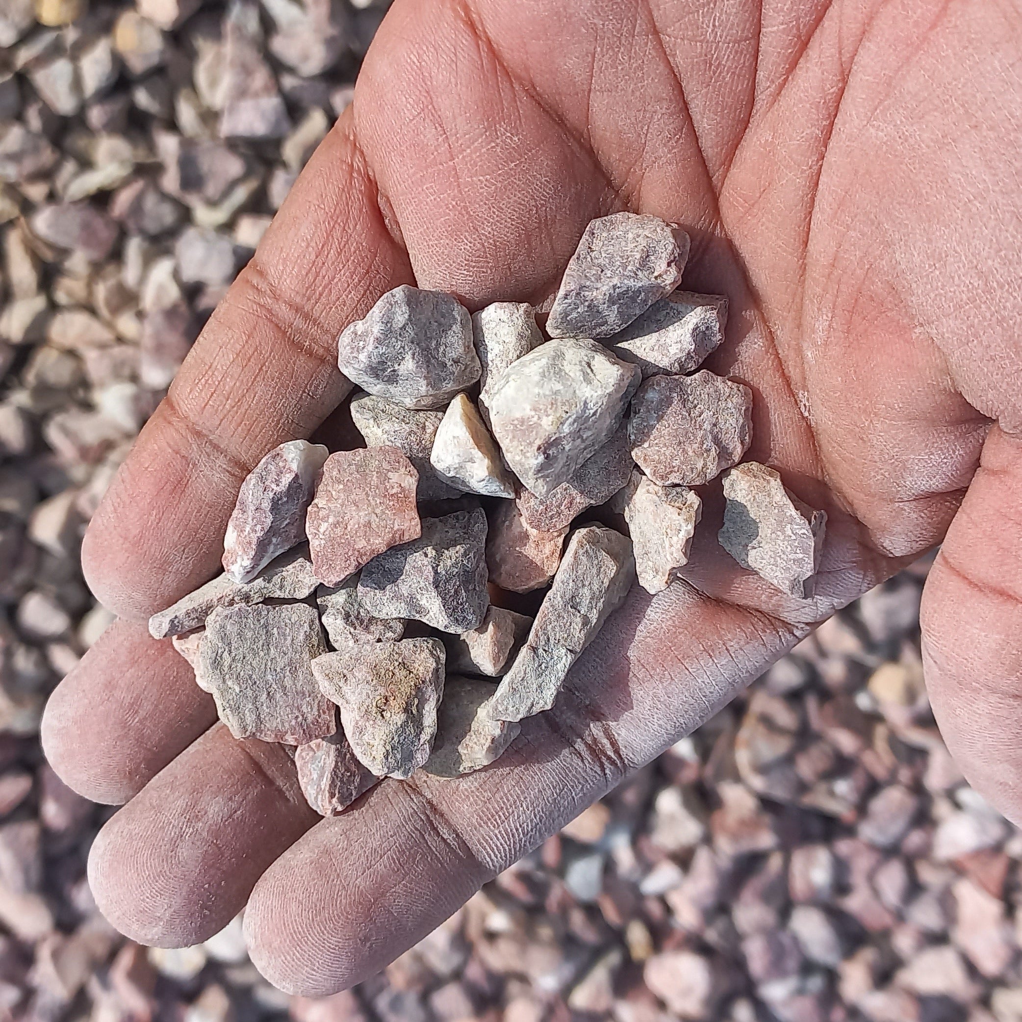 Decorative pebbles for top dressing