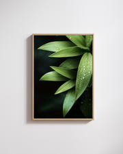 Toprical Leaves HD Wall Frame