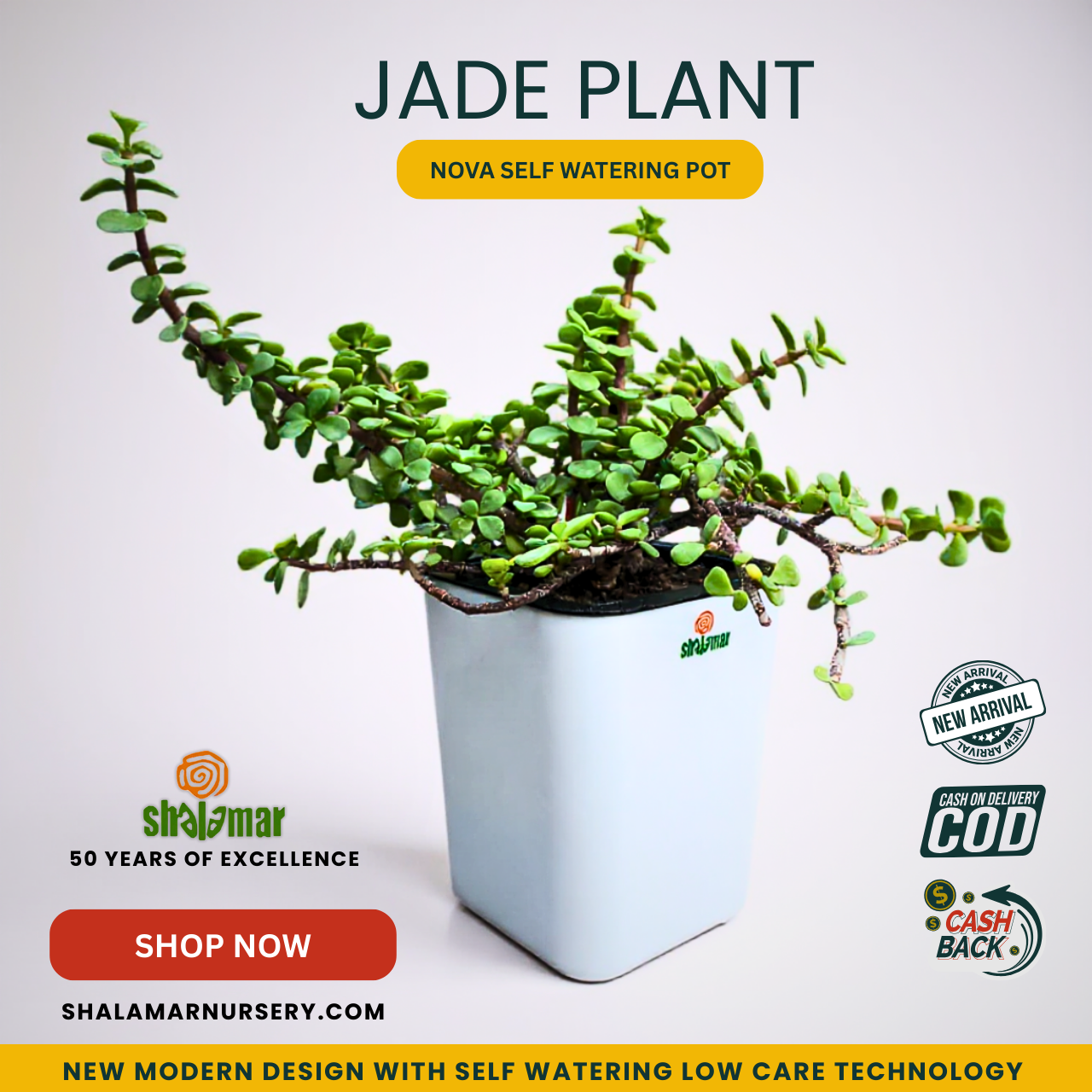 Shalamar Nurseries & Landscapers