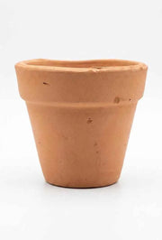 Set of 2 Terracotta pots