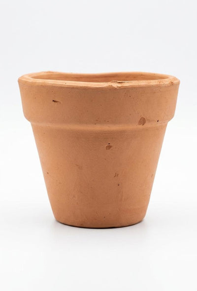Set of 2 Terracotta pots