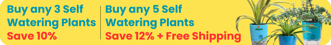 Shalamar Nurseries & Landscapers