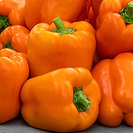 Capsicum orange