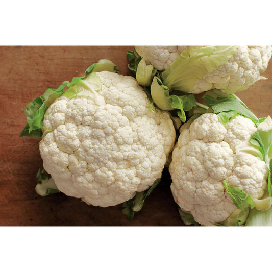 Cauliflower