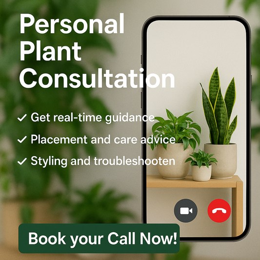 Personal Plant Consultation