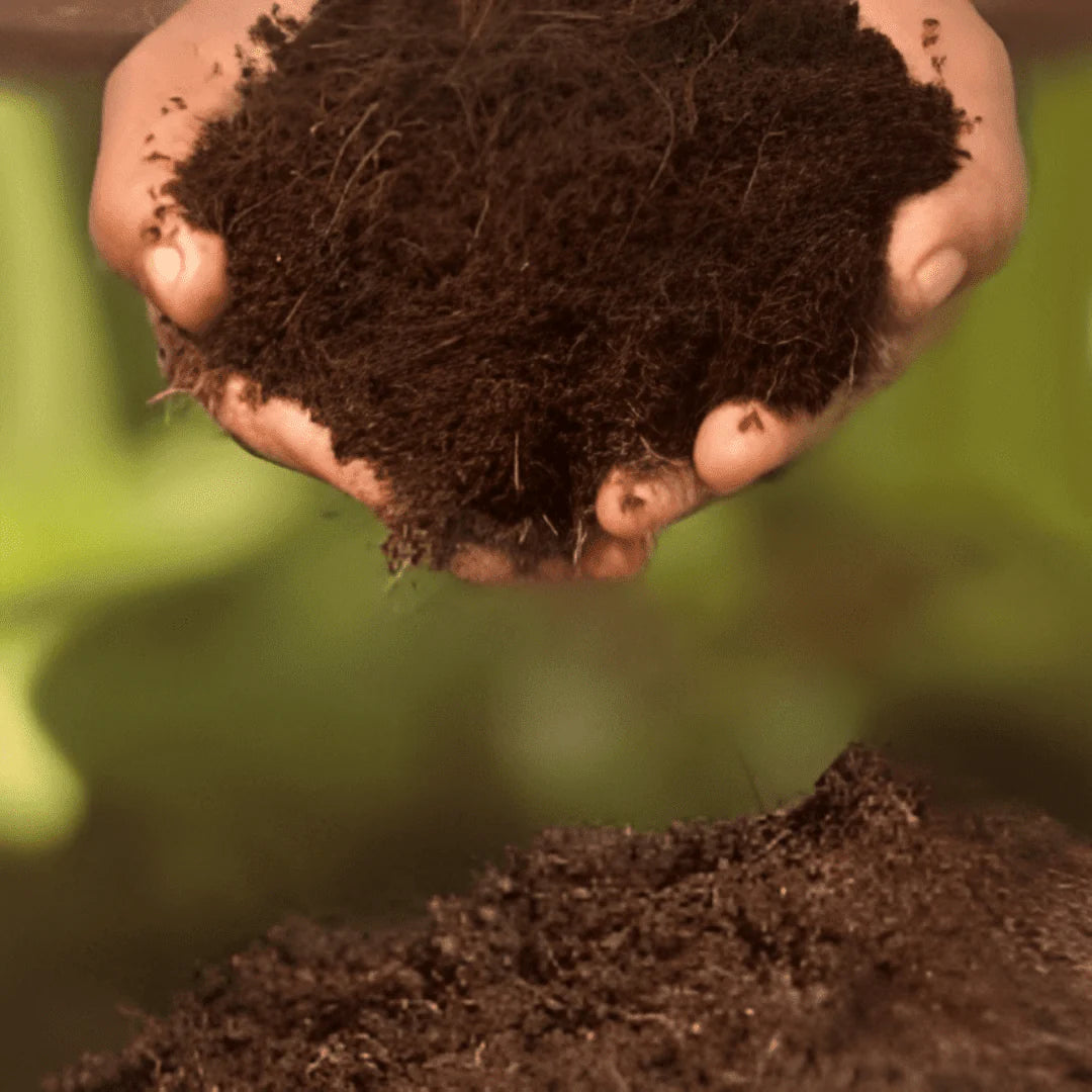 Cocopeat