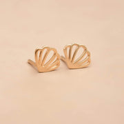 Shell Earrings