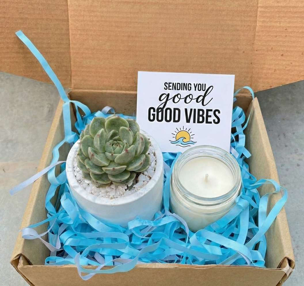 Succulent Gift Box With Echeveria in Cement Pot & Candle
