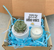 Succulent Gift Box With Echeveria in Cement Pot & Candle
