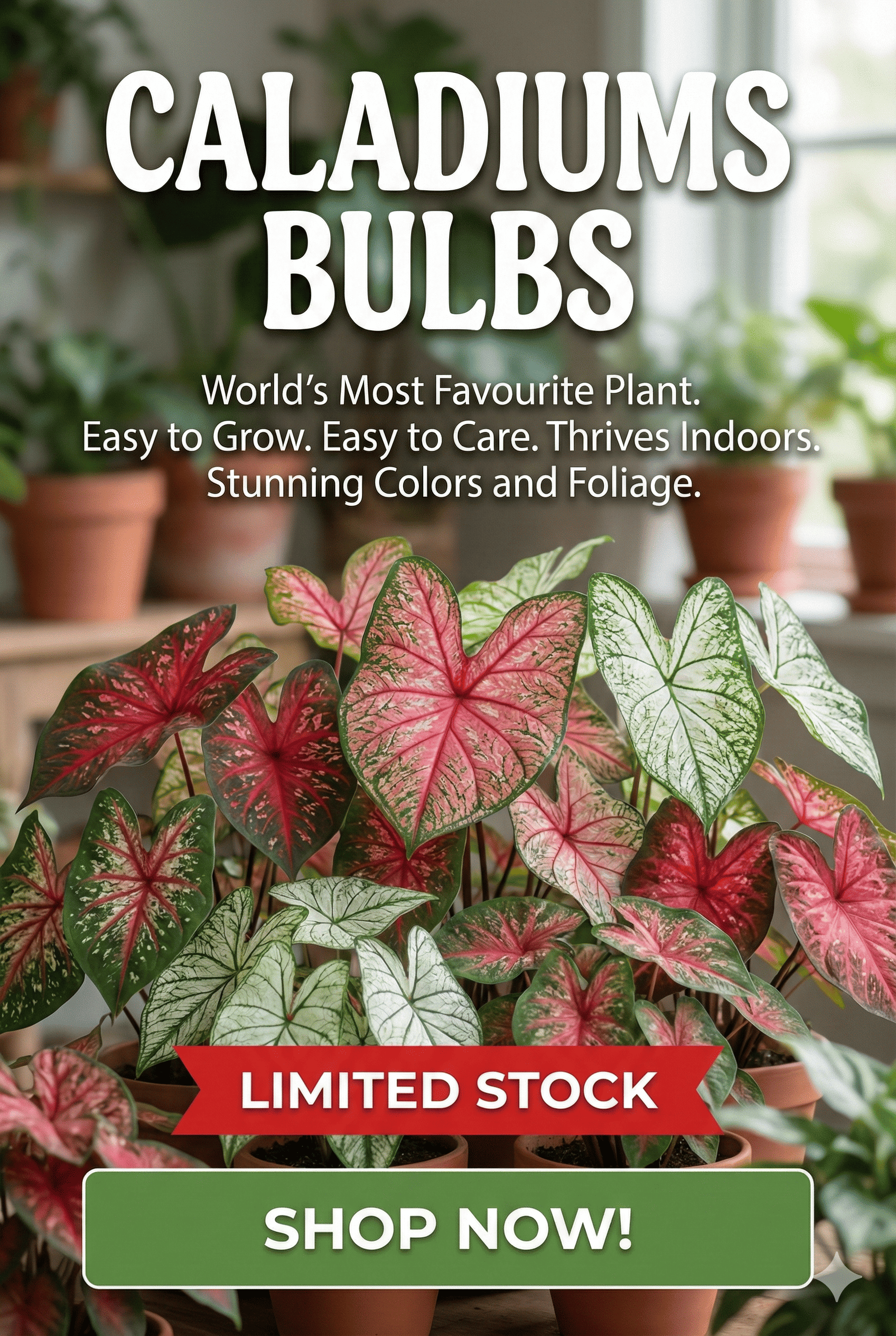 custom-slideshow-image-mobile-block_fTqqVC