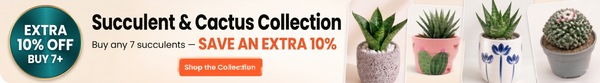 Extra product image