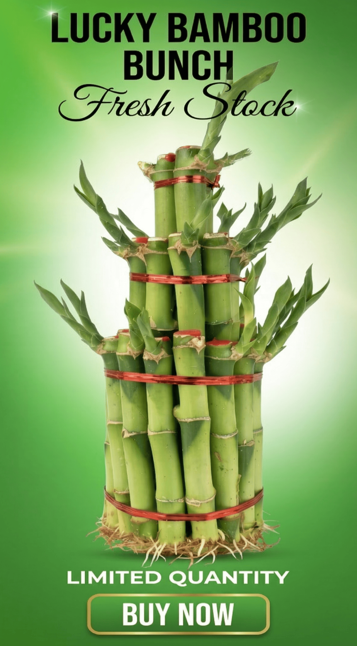 custom-slideshow-image-mobile-block_gWBM6D