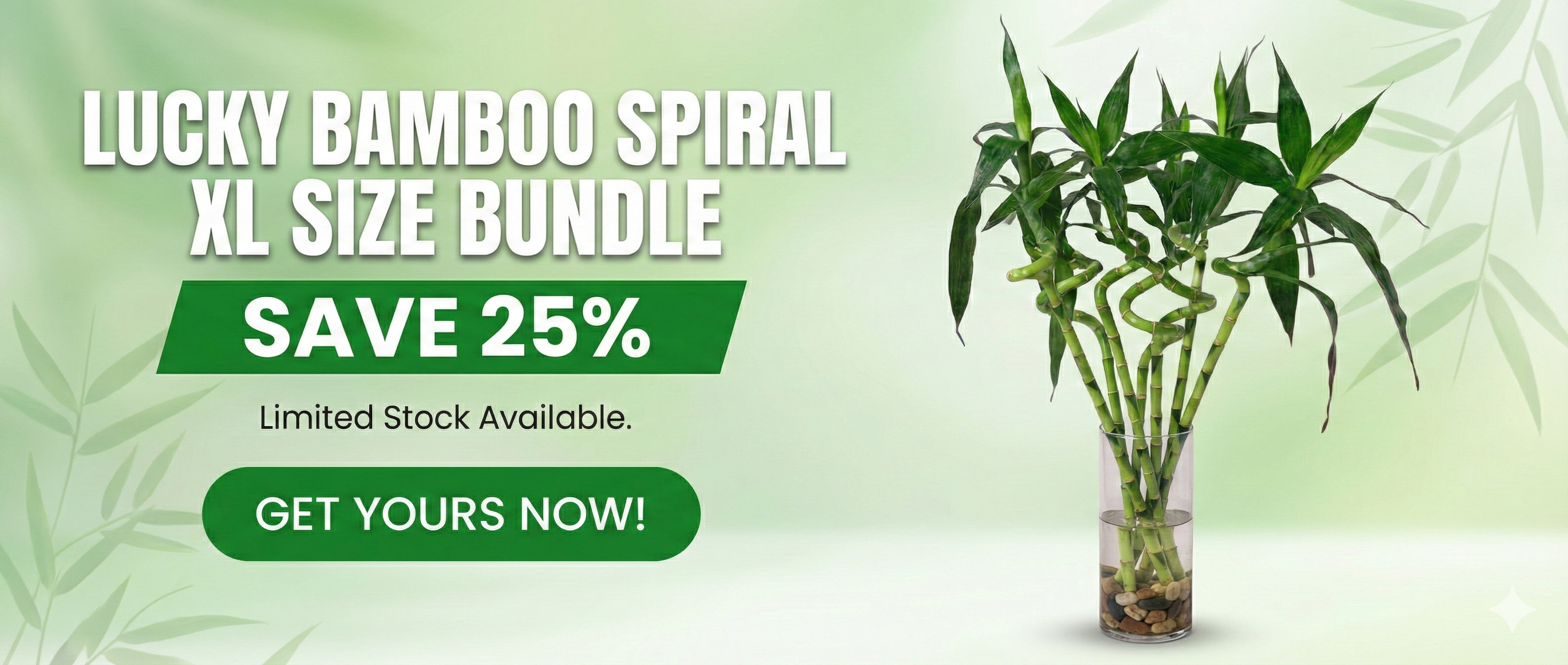 custom-slideshow-image-desktop-block_e6iAn8