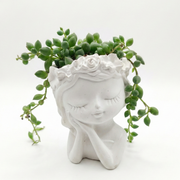 String of Pearls in Doll Pot