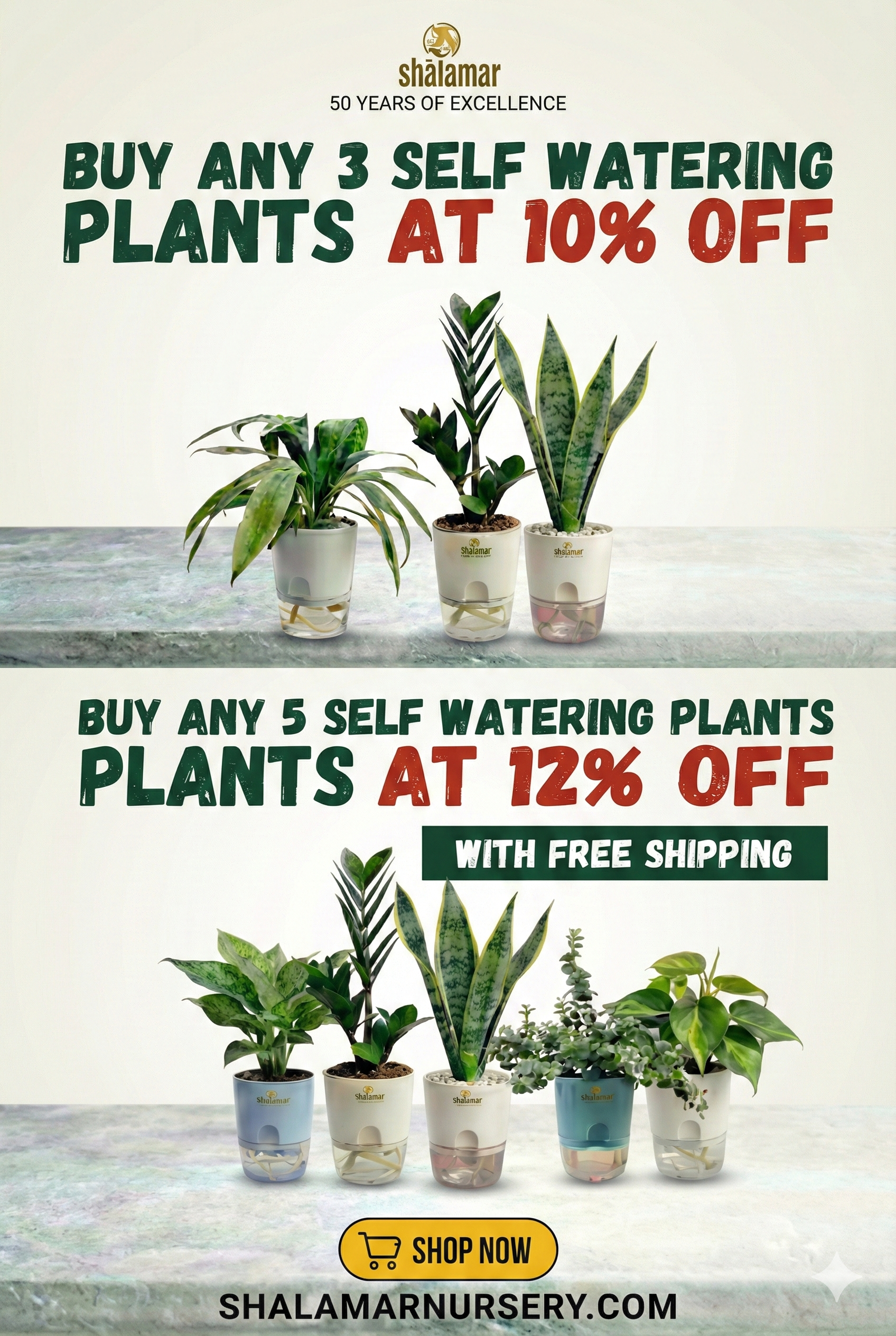 custom-slideshow-image-mobile-block_BLTM4C