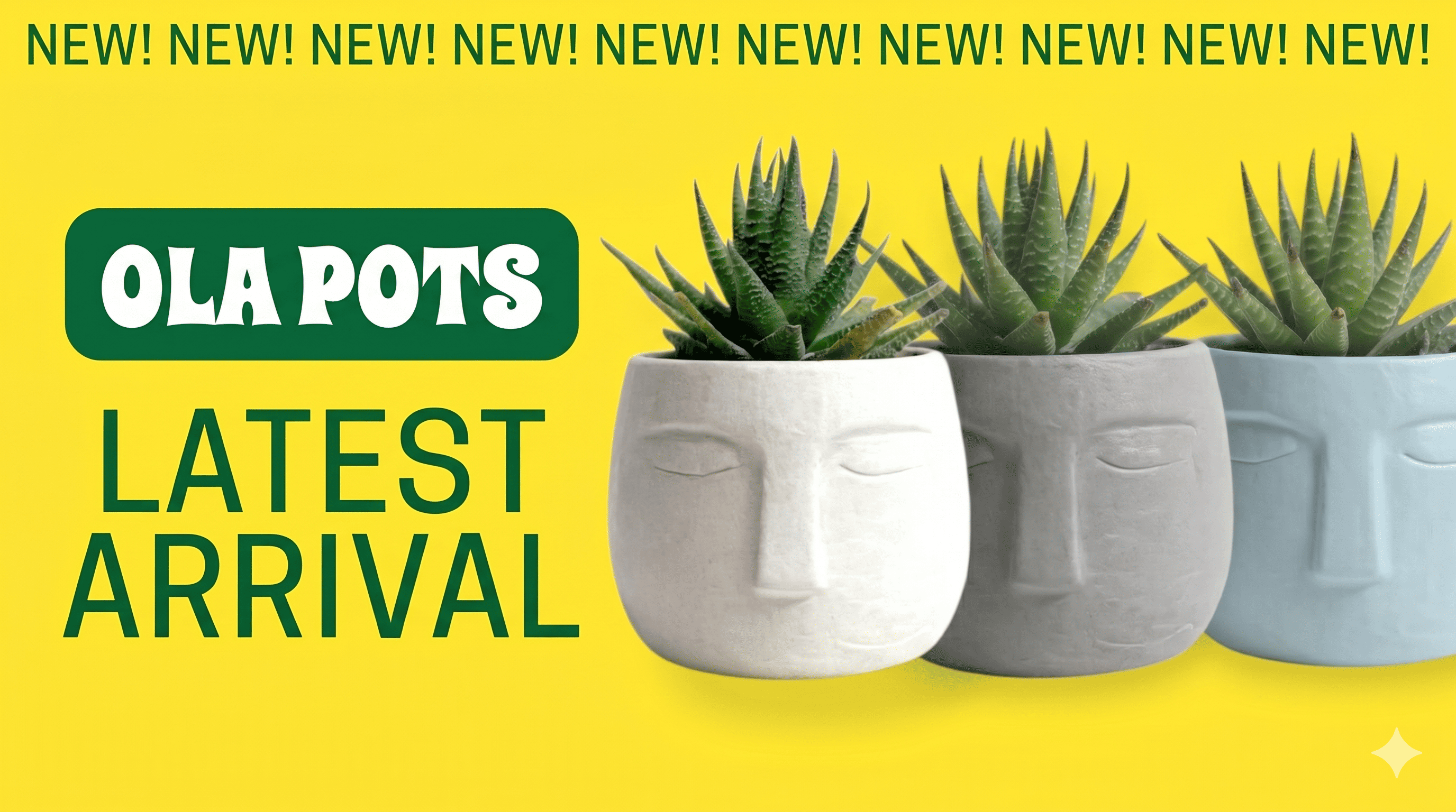 custom-slideshow-image-desktop-block_HyGnhc