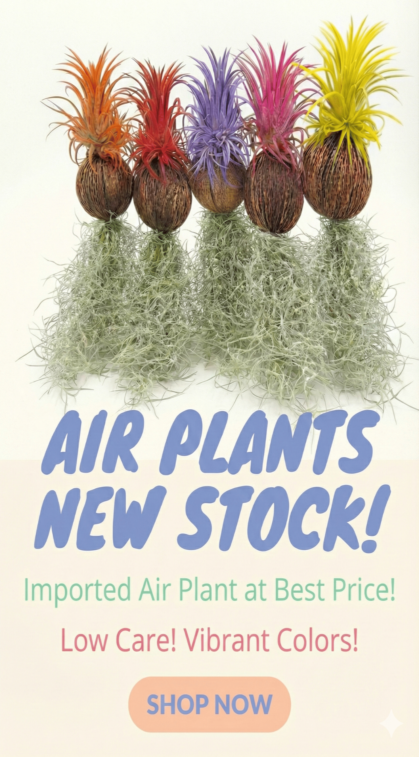 Shalamar Nurseries & Landscapers