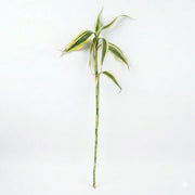 Lucky Bamboo Stick Straight Small