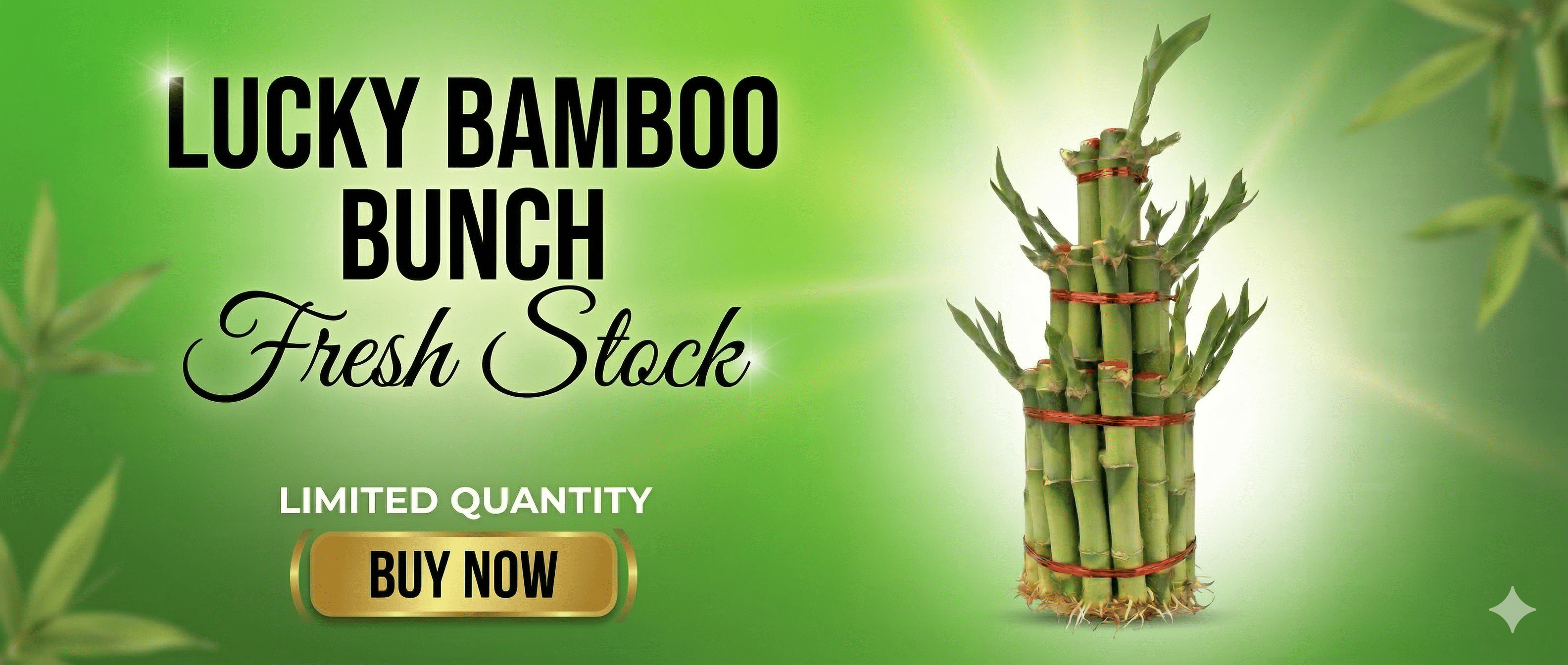 custom-slideshow-image-desktop-block_gWBM6D