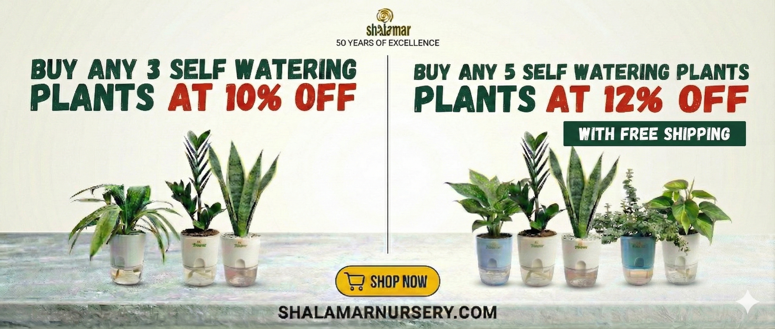 custom-slideshow-image-desktop-block_BLTM4C