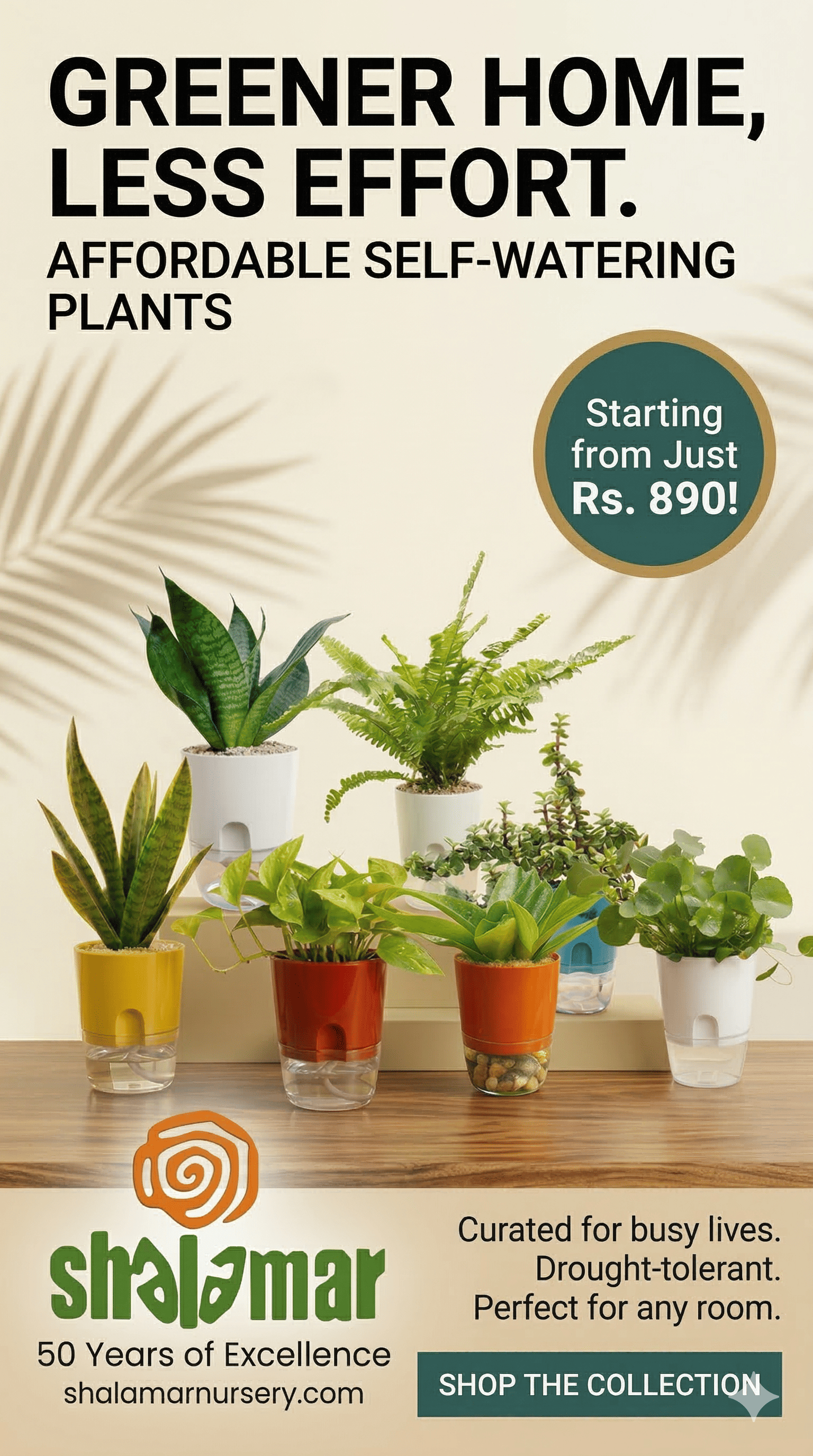 custom-slideshow-image-mobile-block_Ta7WA9