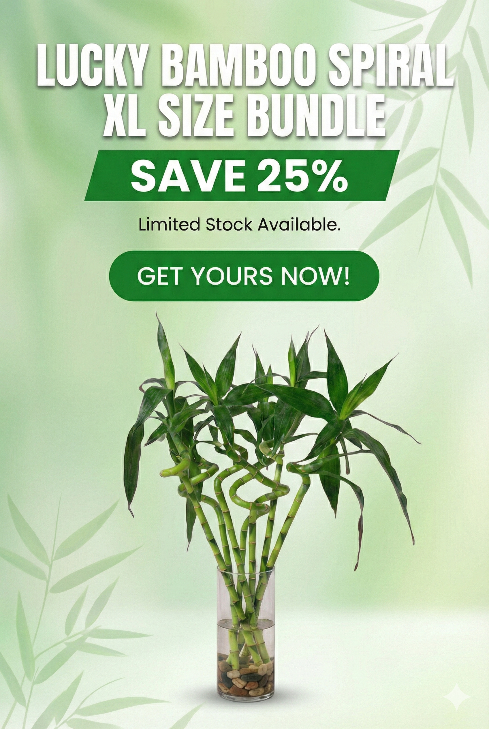 custom-slideshow-image-mobile-block_e6iAn8