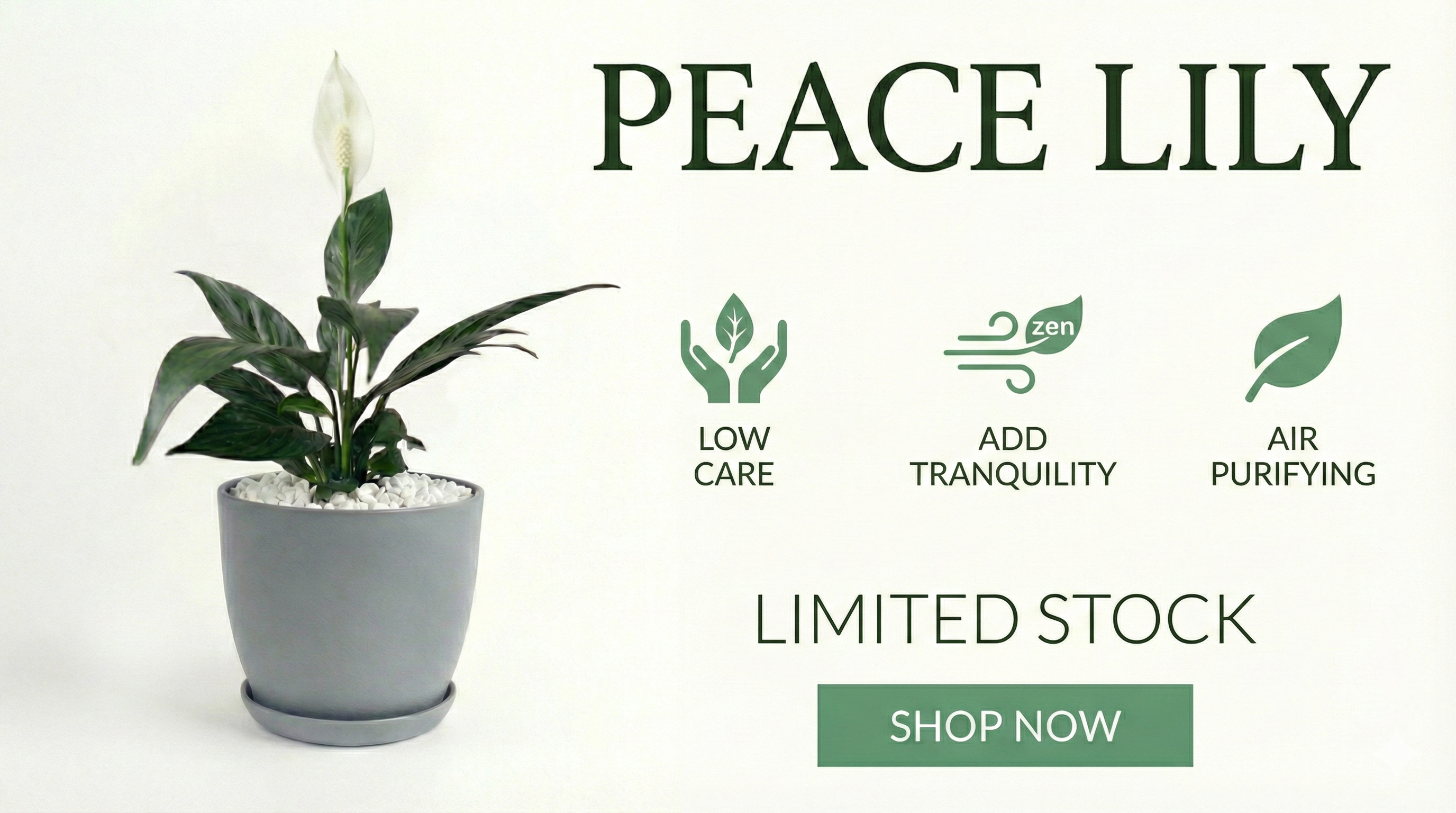 custom-slideshow-image-desktop-block_fmjhPy