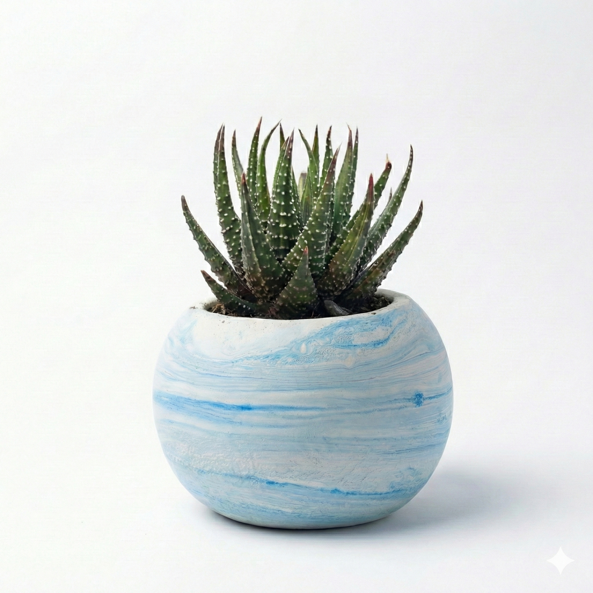 Haworthia attenuata in Marble Texture Round Pot