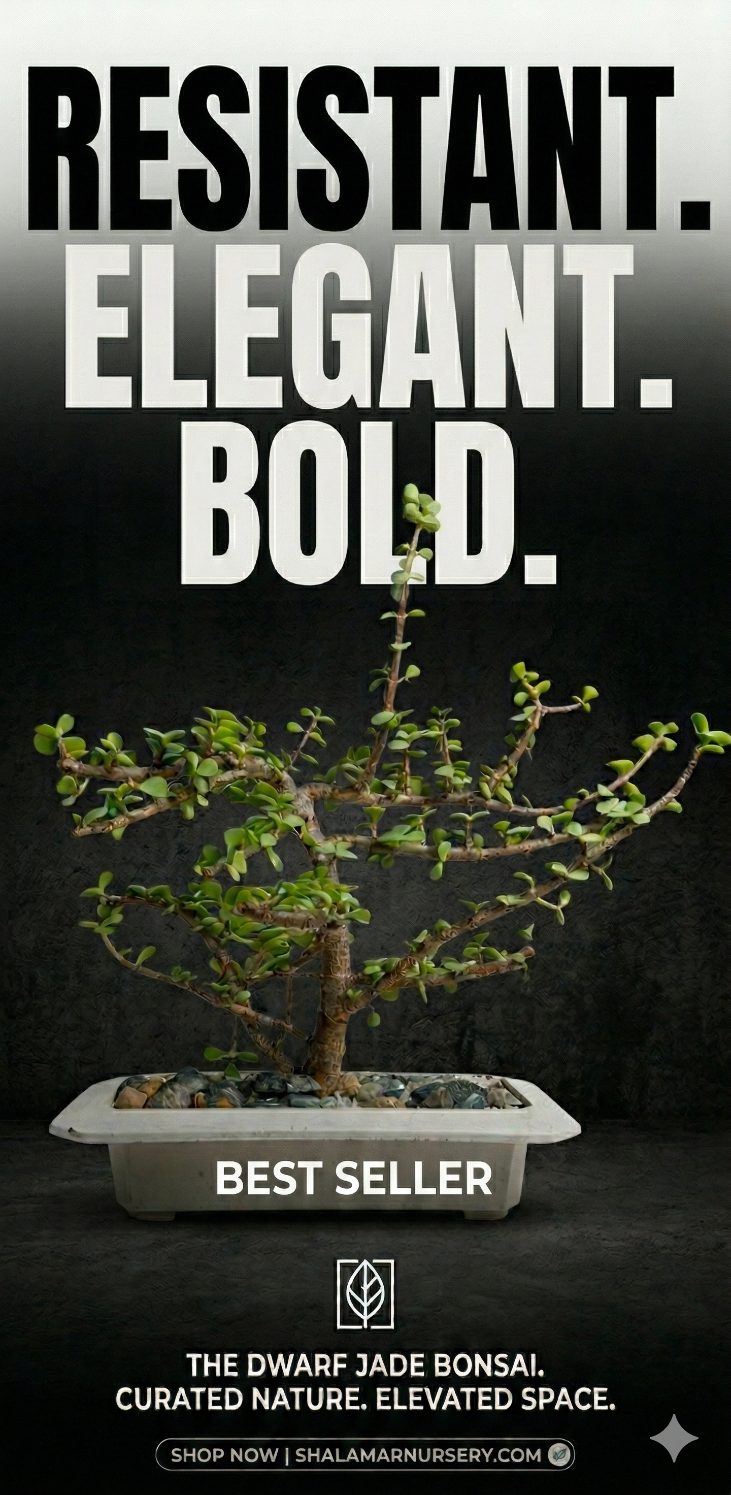 Shalamar Nurseries & Landscapers