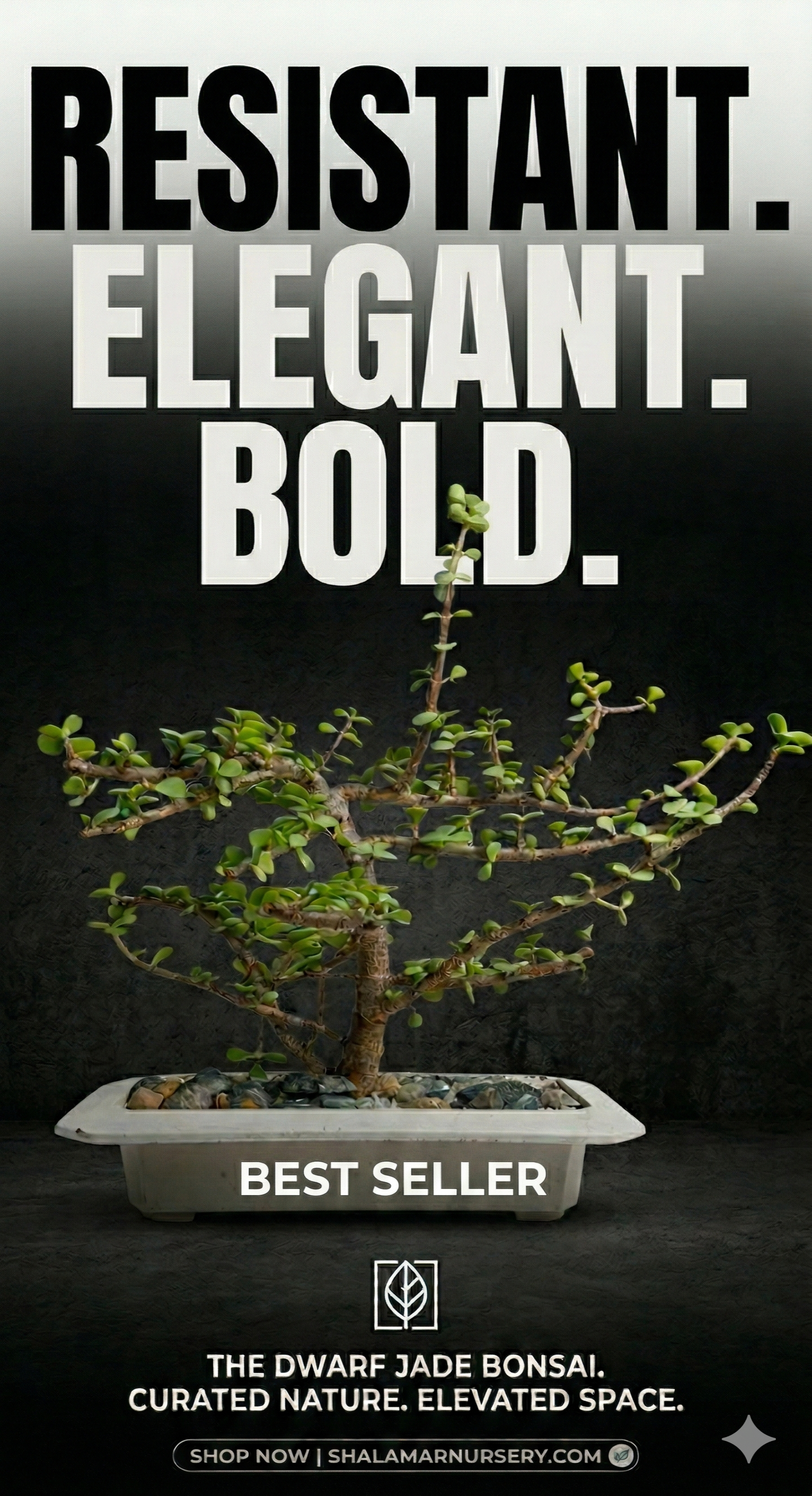 Shalamar Nurseries & Landscapers