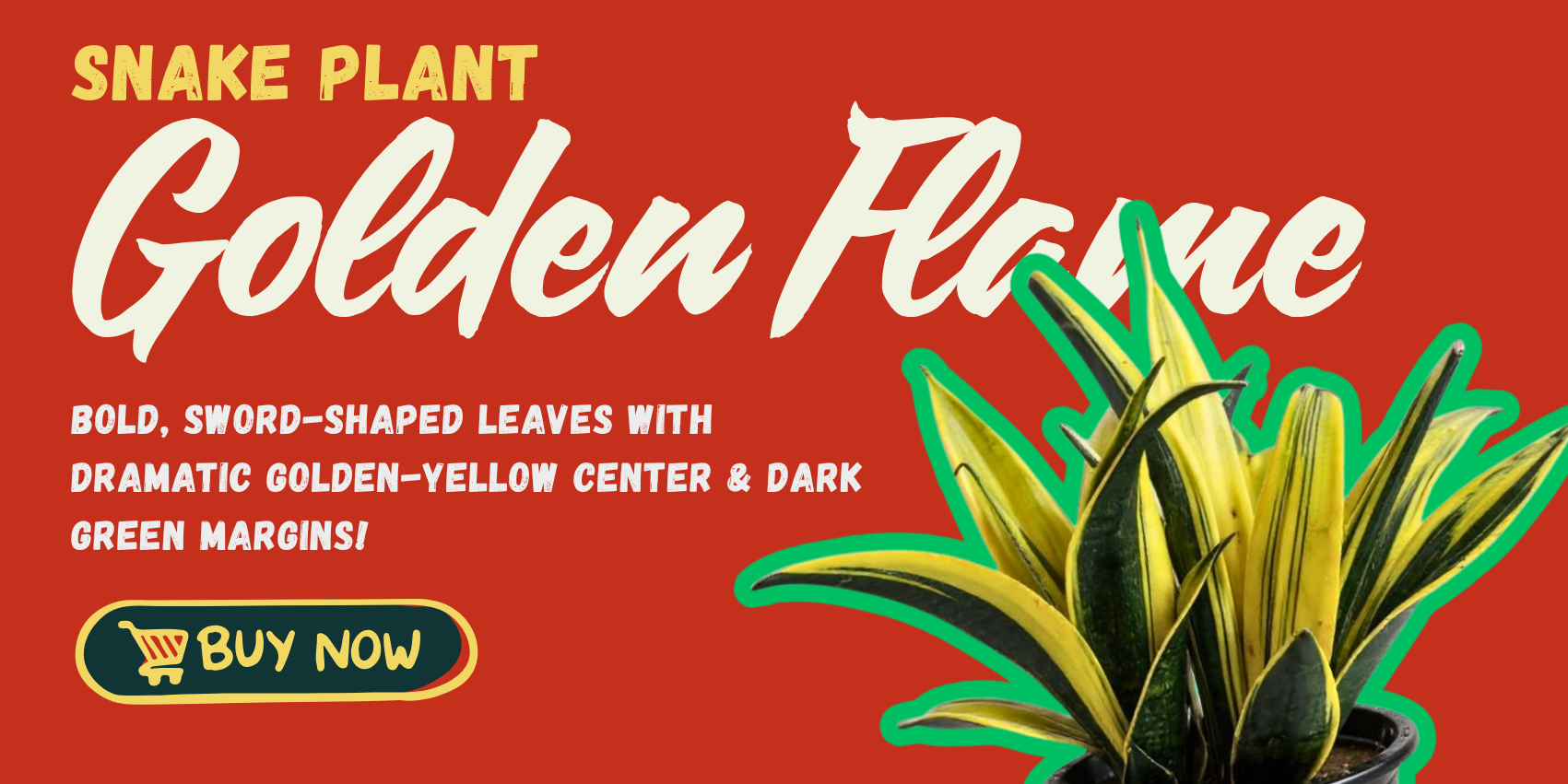 Shalamar Nurseries & Landscapers