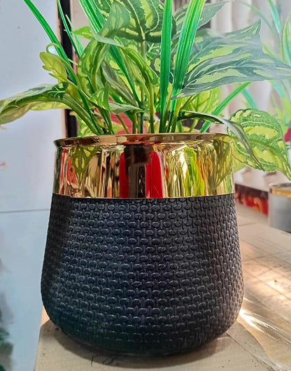 Fiber planter with golden collar