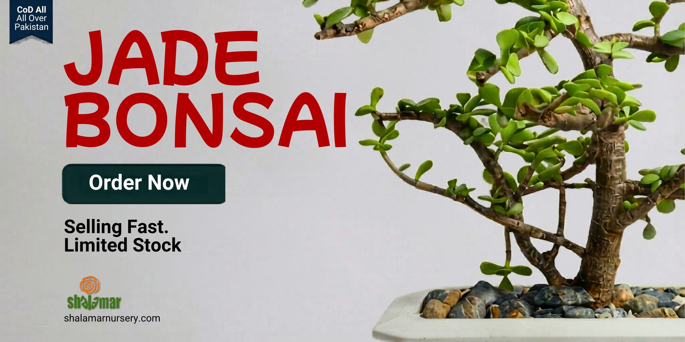 Shalamar Nurseries & Landscapers